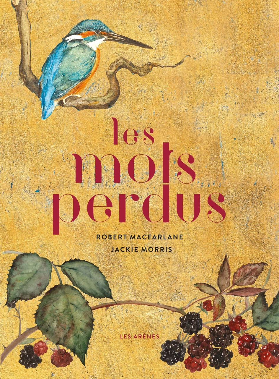 mots perdus