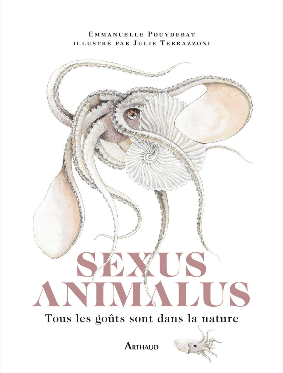 sexus