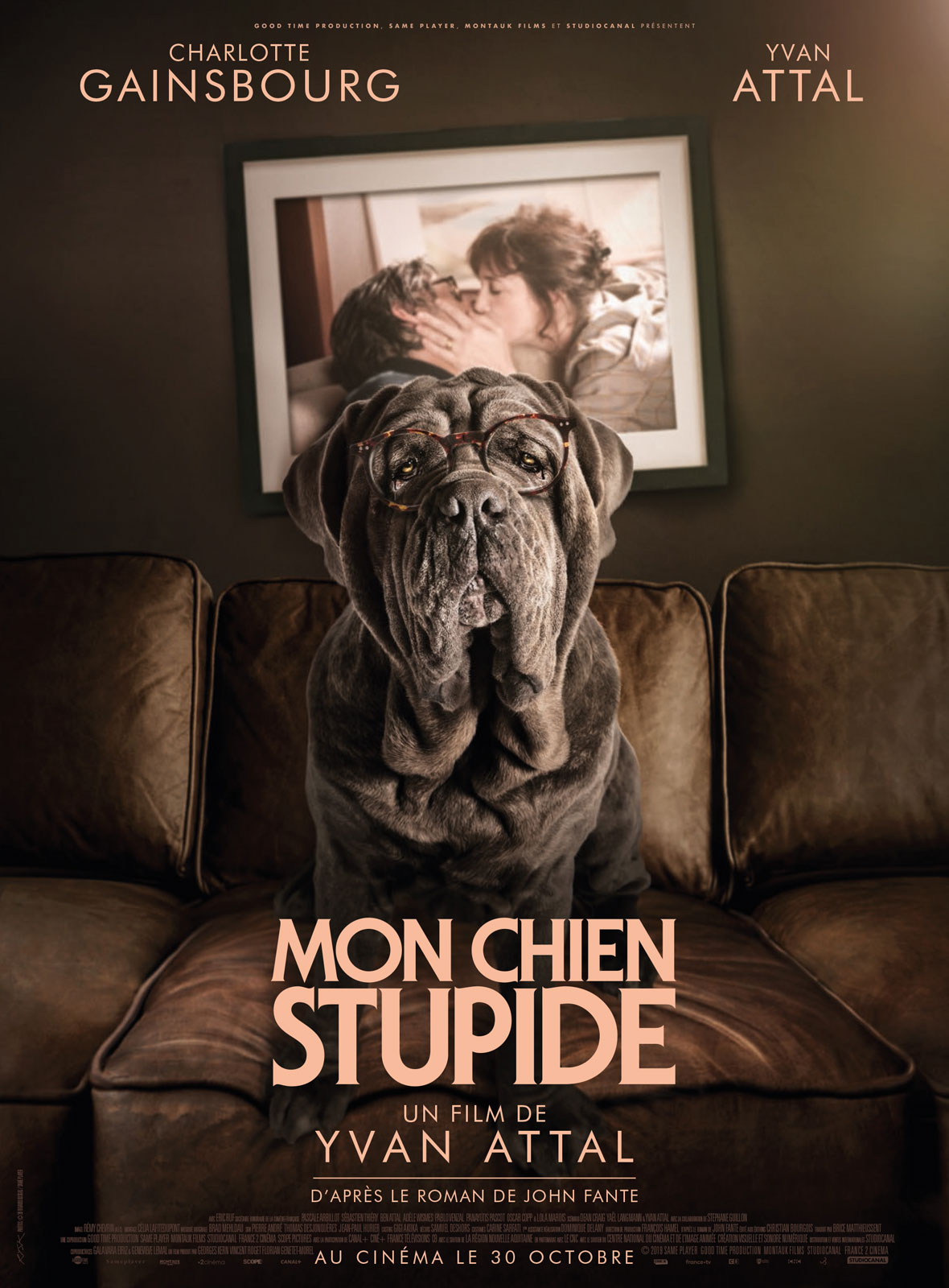 mon chien stupide