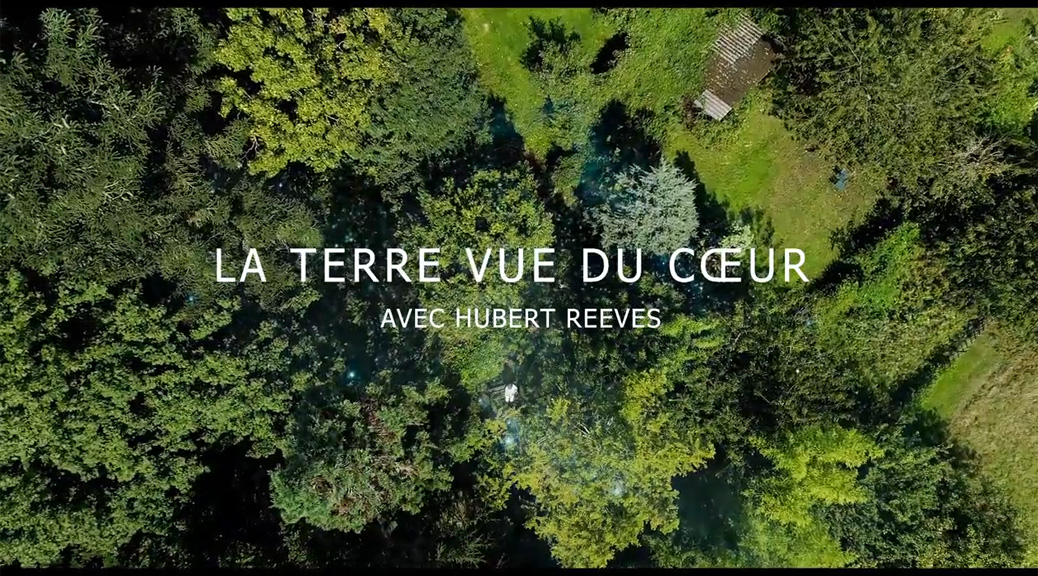 terre vue du ciel