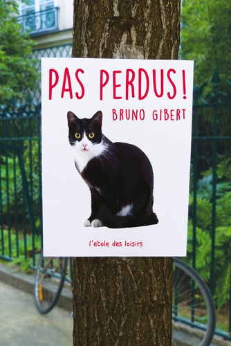 pas perdus