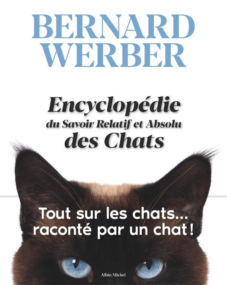 chat