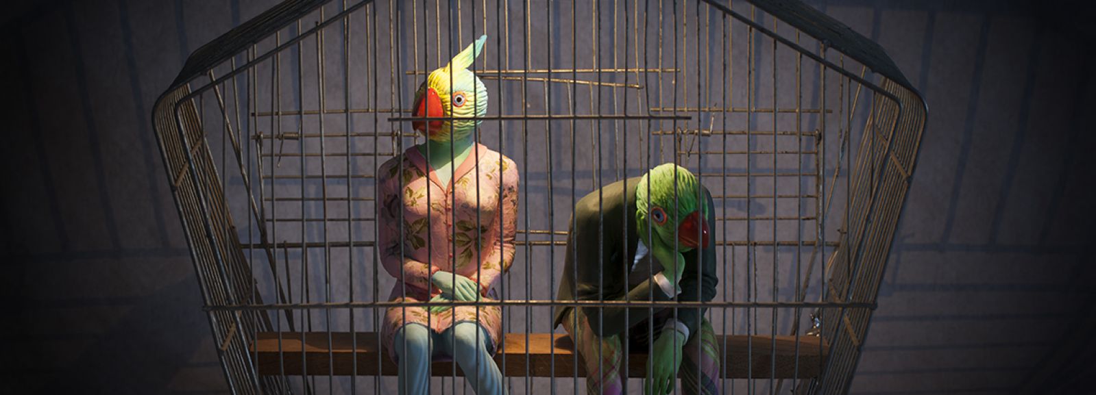 Conférence des oiseaux 